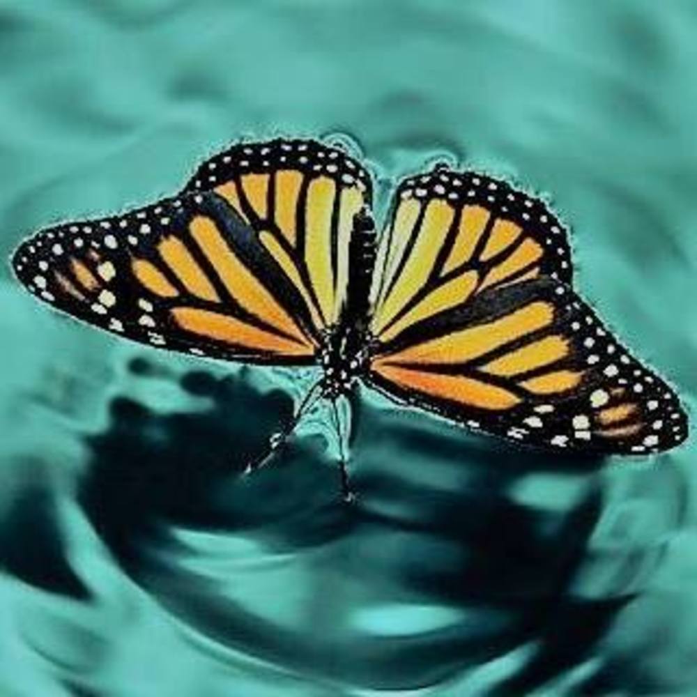 Meet your Posher, Susan